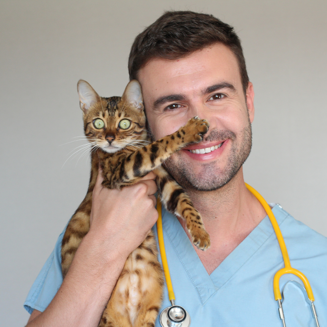 Dr. Müller (Tierarzt)