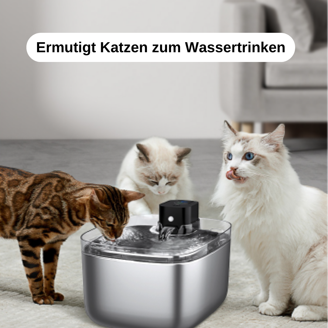 Petify Trinkbrunnen Tank 3.0 (Wireless+UV) - Petify