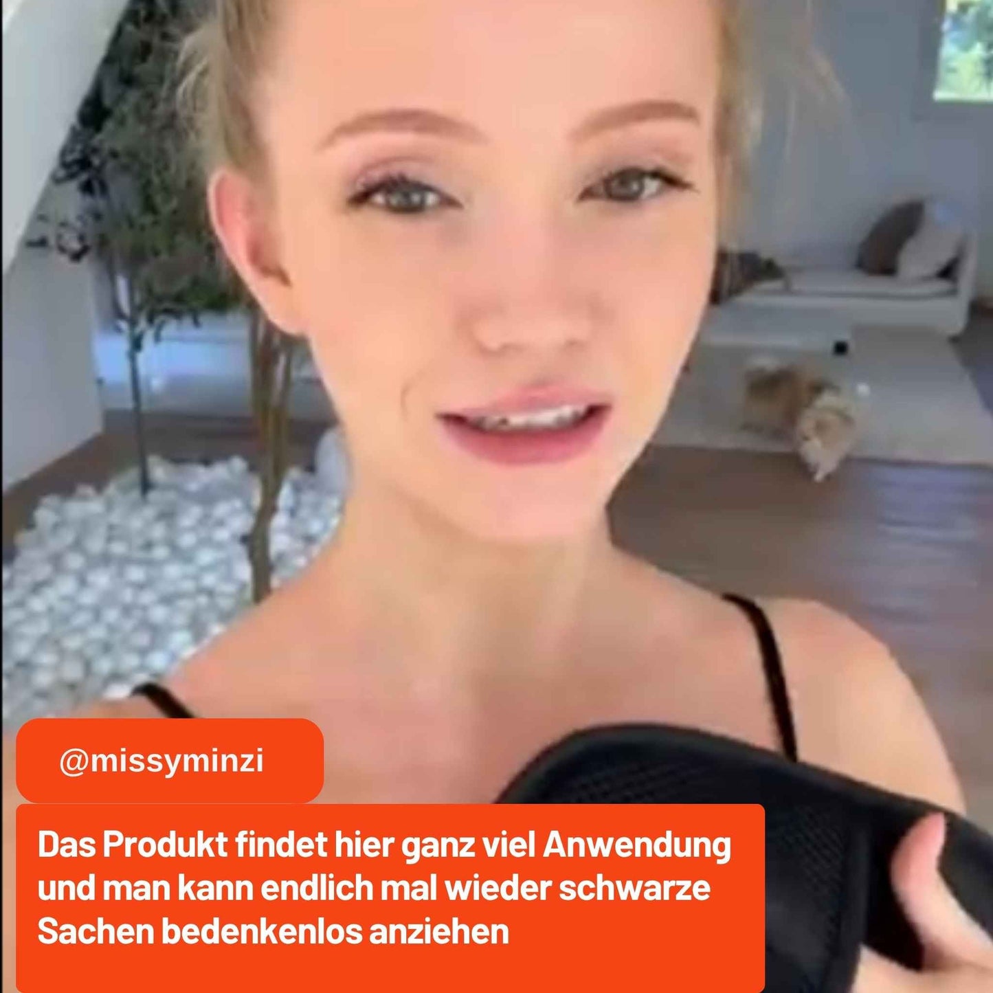 Der Petify Pro-Greifer Petify