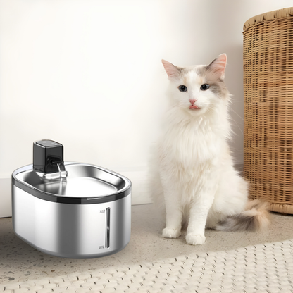 Petify Trinkbrunnen 2.0 (Wireless)